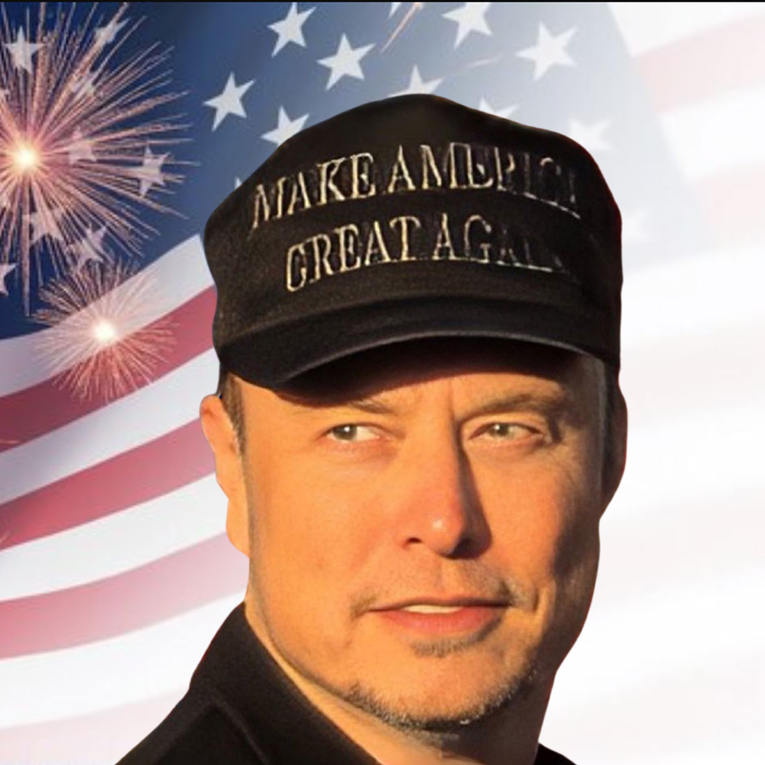 Elon Musk MAGA Hat