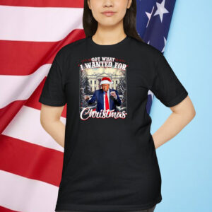 Got What I Wanted For Christmas Trump 2024 Shirt