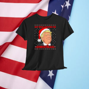 Got What I Wanted For Christmas Trump Shirt