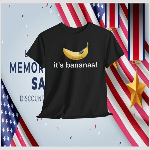It’s Banana Spacex Starship Flight 6 Shirt