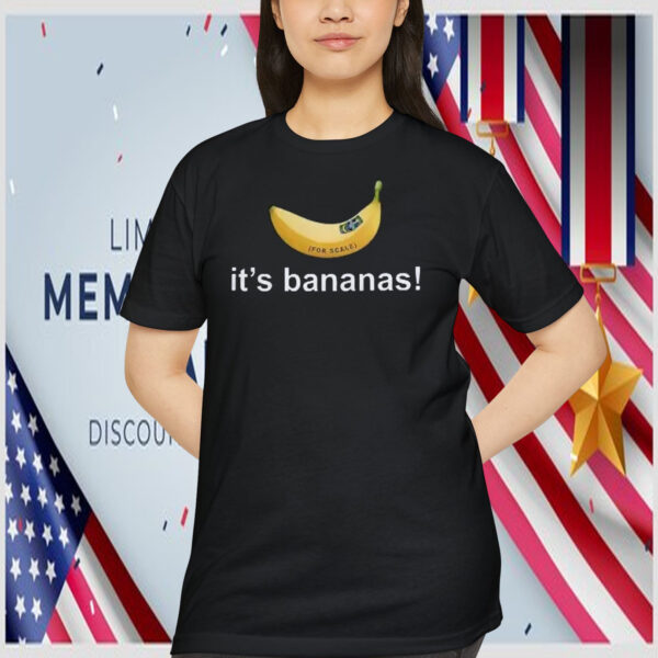 It’s Banana Spacex Starship Flight 6 Shirt