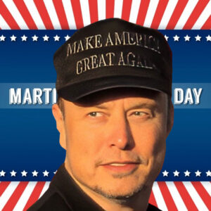 MAGA 3D Puff Flat Bill Patriot Hat
