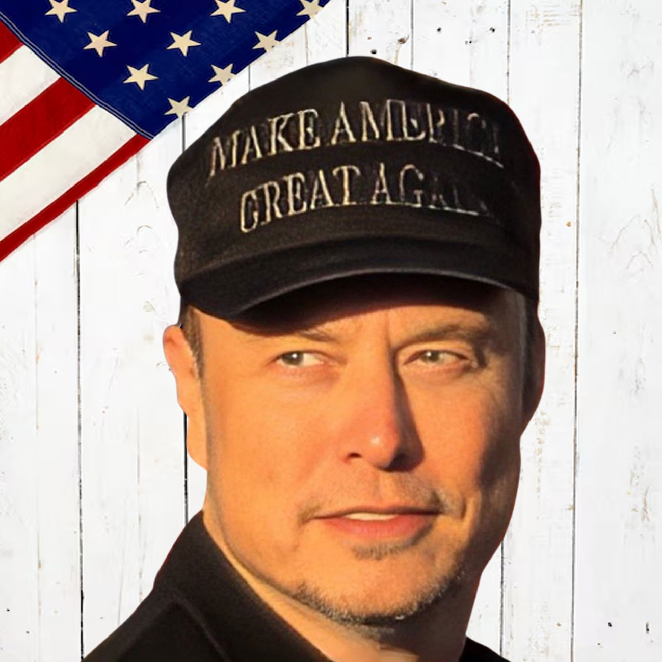 Make America Great Support Trump Again Hat