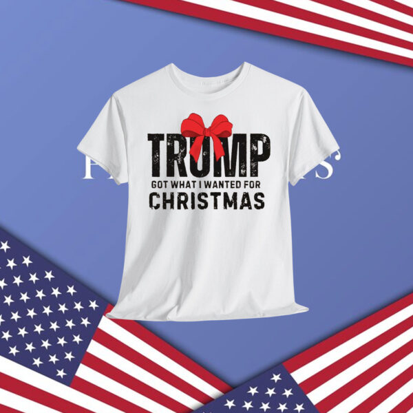 Trump Got What I Wanted For Christmas 2024 Shirt