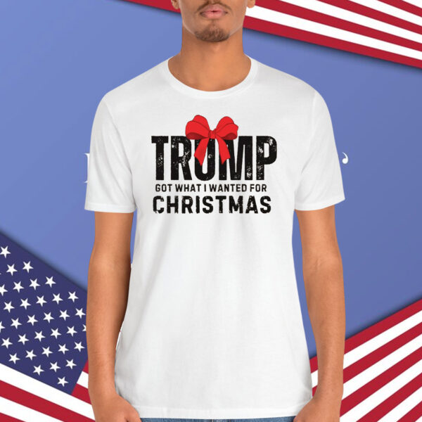 Trump Got What I Wanted For Christmas 2024 Shirt