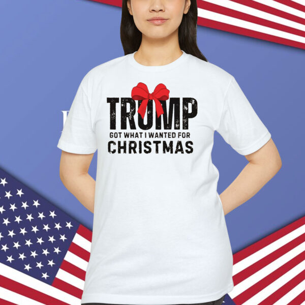 Trump Got What I Wanted For Christmas 2024 Shirt