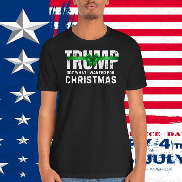 Trump Got What I Wanted For Christmas 2024 Shirts