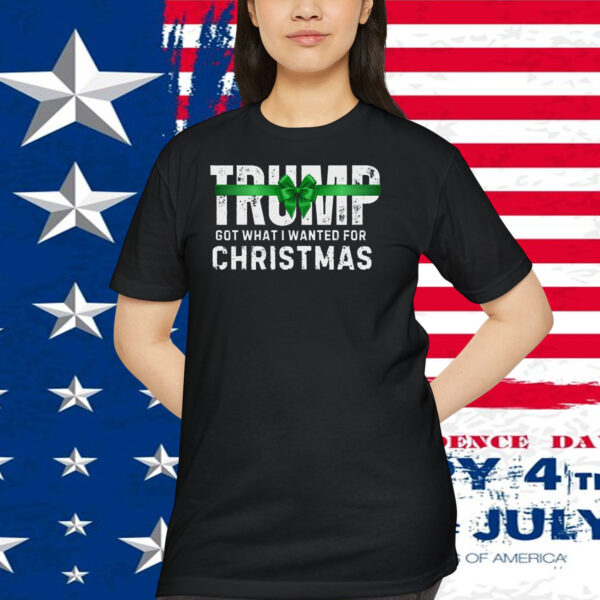 Trump Got What I Wanted For Christmas 2024 Shirts
