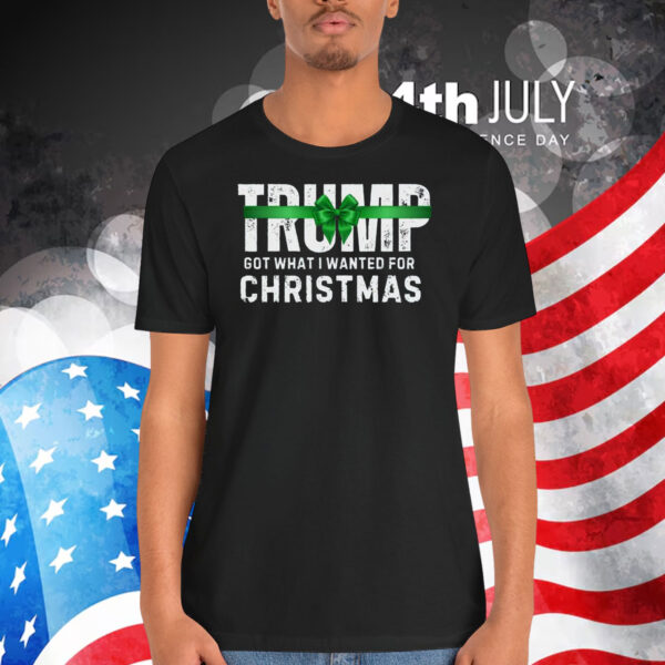 Trump Got What I Wanted For Christmas 2024 T-Shirt