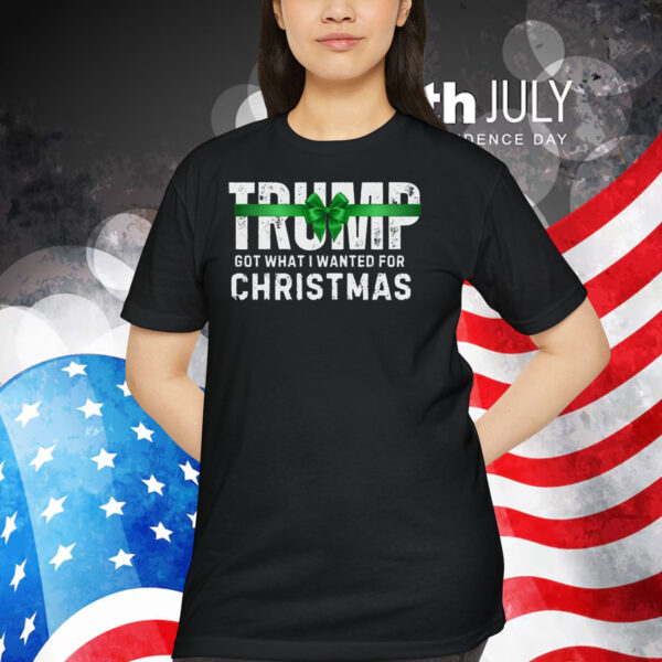 Trump Got What I Wanted For Christmas 2024 T-Shirt
