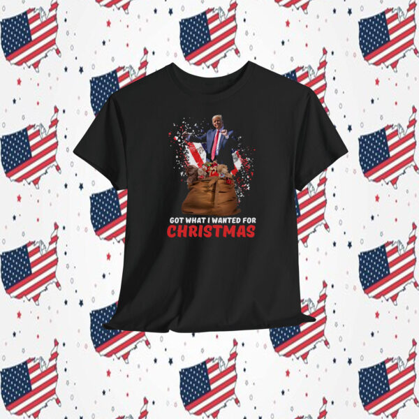 Trump Got What I Wanted For Christmas President Shirt