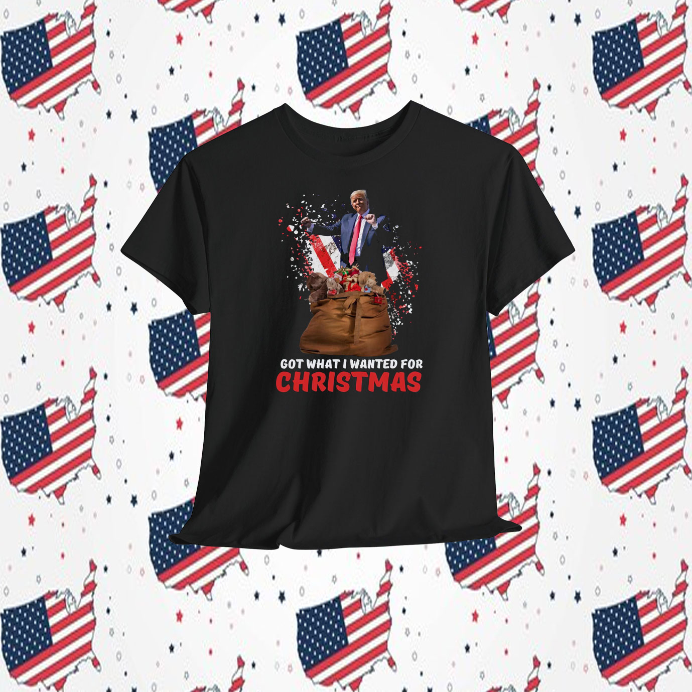 Trump Got What I Wanted For Christmas President Shirt