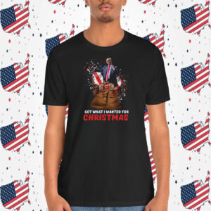 Trump Got What I Wanted For Christmas President Shirt