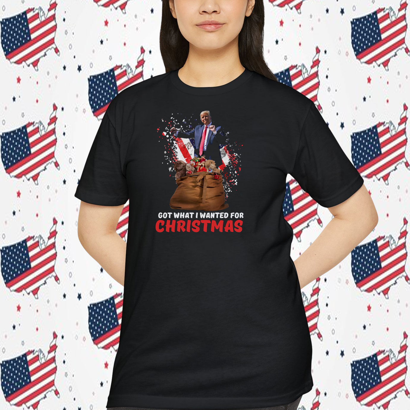 Trump Got What I Wanted For Christmas President Shirt