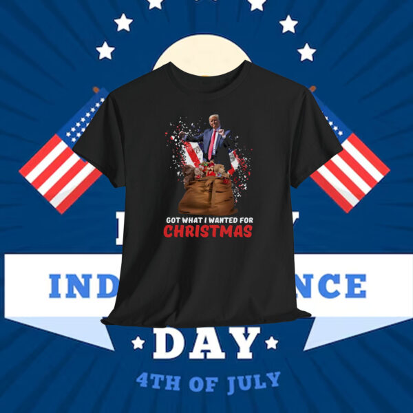 Trump Got What I Wanted For Christmas Shirt