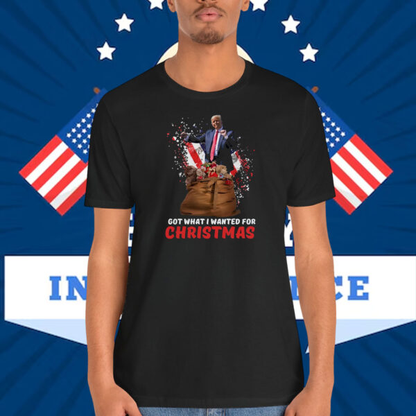 Trump Got What I Wanted For Christmas Shirt