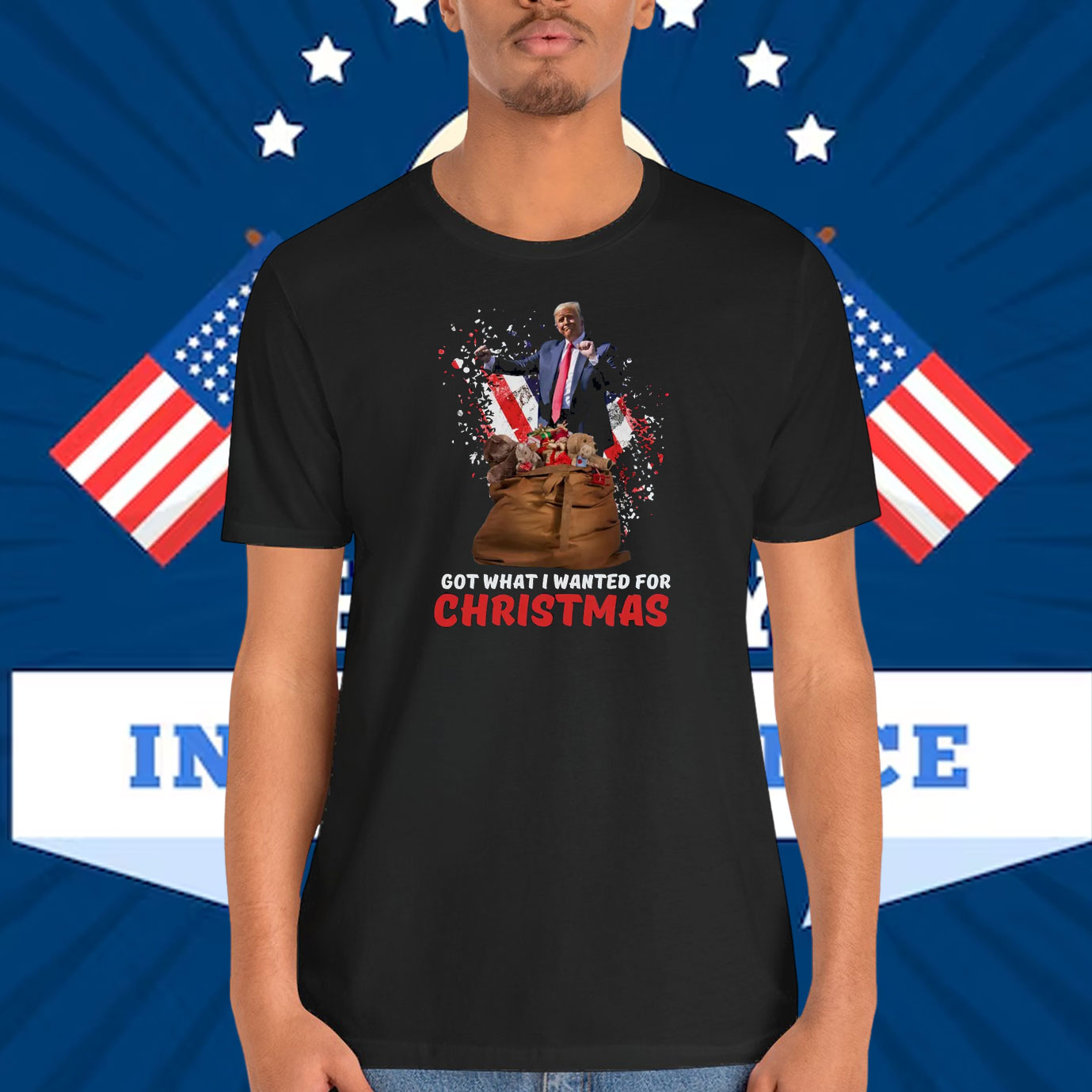 Trump Got What I Wanted For Christmas Shirt