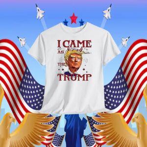 Funny I Came As The Trump Shirt