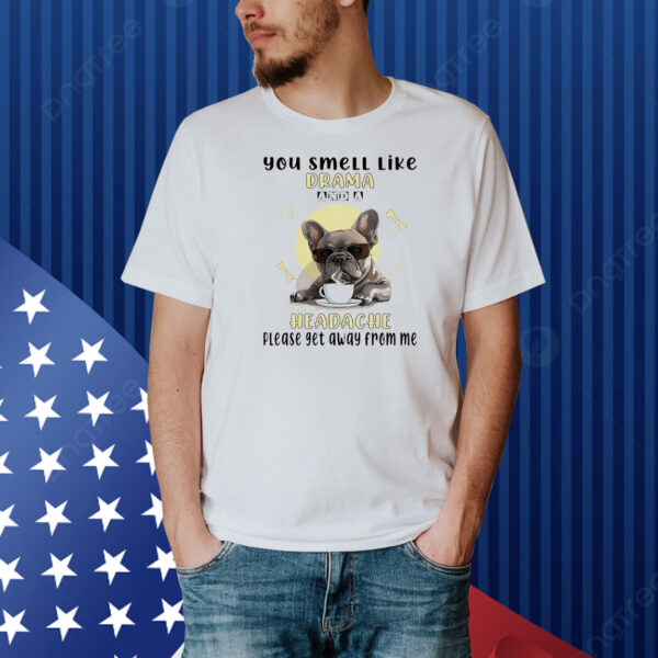 Dog you smell like drama and a headache please get away from me Shirt