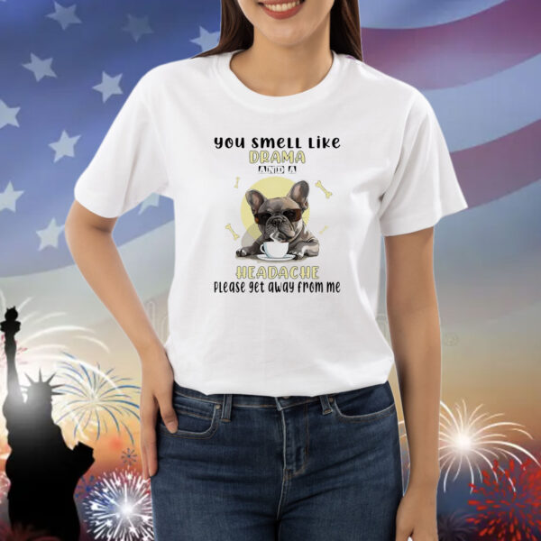 Dog you smell like drama and a headache please get away from me Shirt