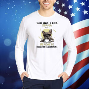 Dog you smell like drama and a headache please get away from me Shirt