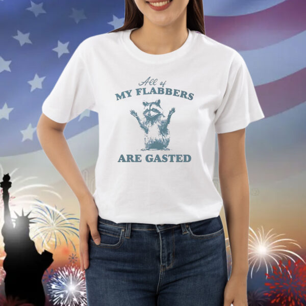 Raccoon all of my flabbers are gasted Shirt