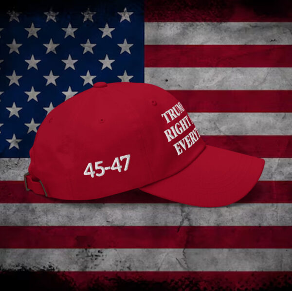Trump 2025 Was Right About Everything Hat